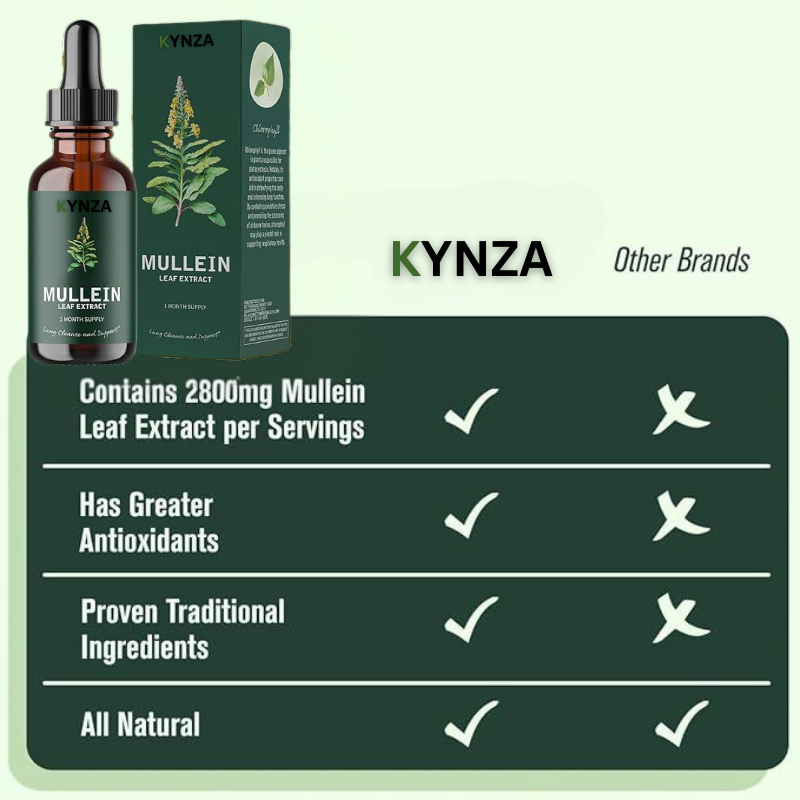 Kynza Lung Mullein Elixir