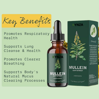 Kynza Lung Mullein Elixir