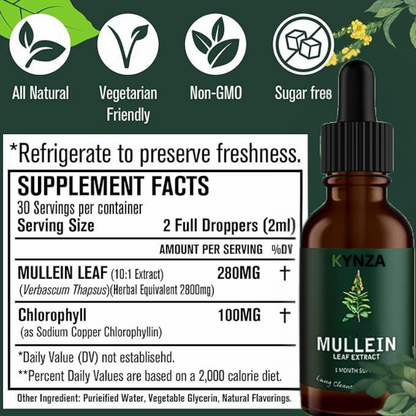 Kynza Lung Mullein Elixir