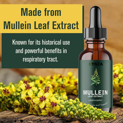 Kynza Lung Mullein Elixir